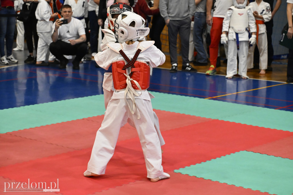 Ogólnopolski Turniej Karate Kyokushin Gwarek Cup - 22.11.2025