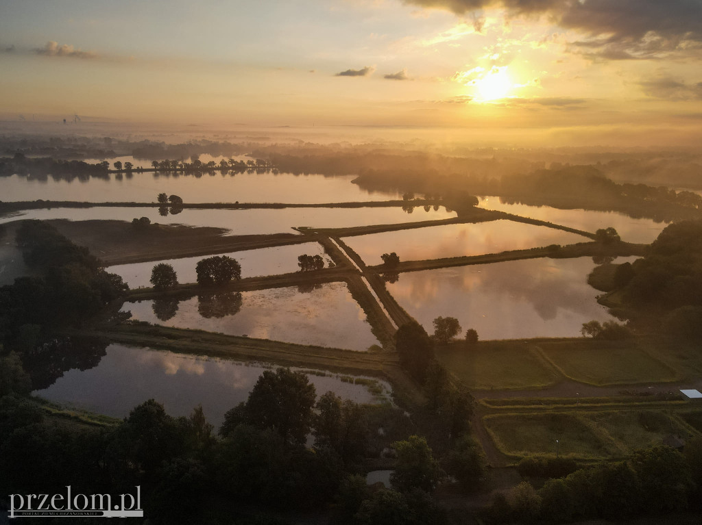 Poranki w PRZEŁOMowych Kadrach