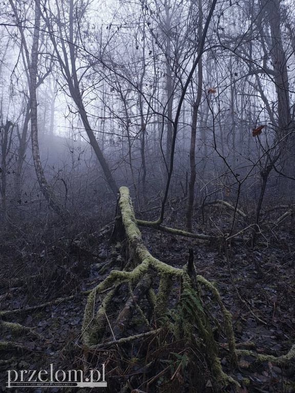 Kamieniołomy w Przełomowych Kadrach