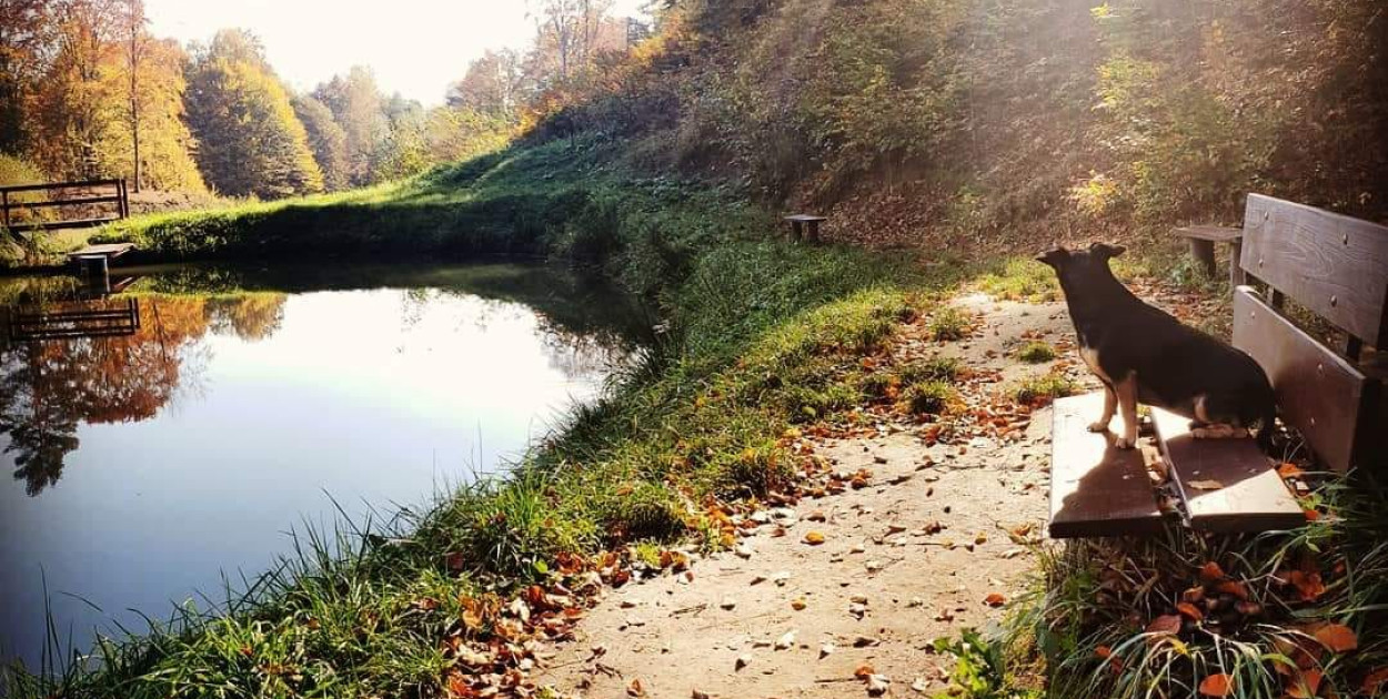 Stawy kaskadowe w  PRZEŁOMowych Kadrach.
