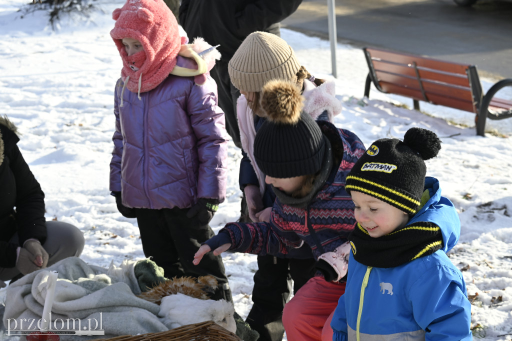 Granie dla Oskarka w Płazie - 10.01.2026