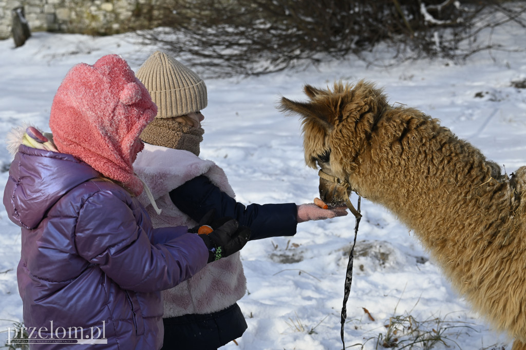Granie dla Oskarka w Płazie - 10.01.2026