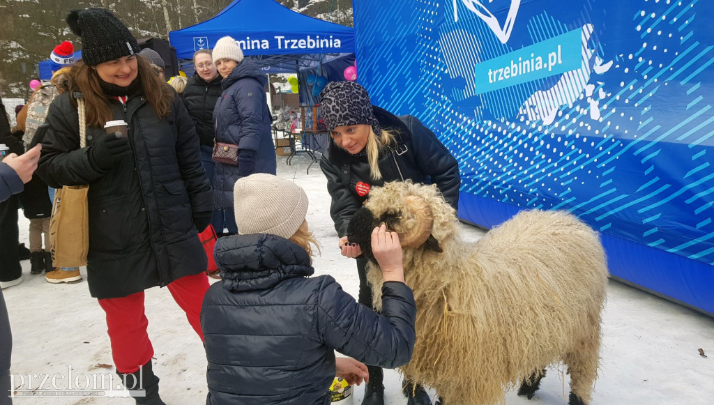 III Morsowanie nad Balatonem w Trzebini