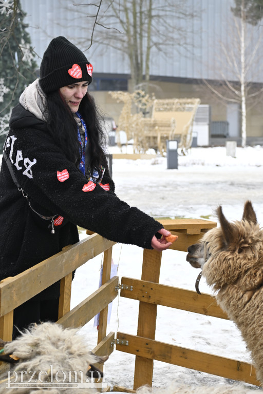 WOŚP Chrzanów - 25.01.2026