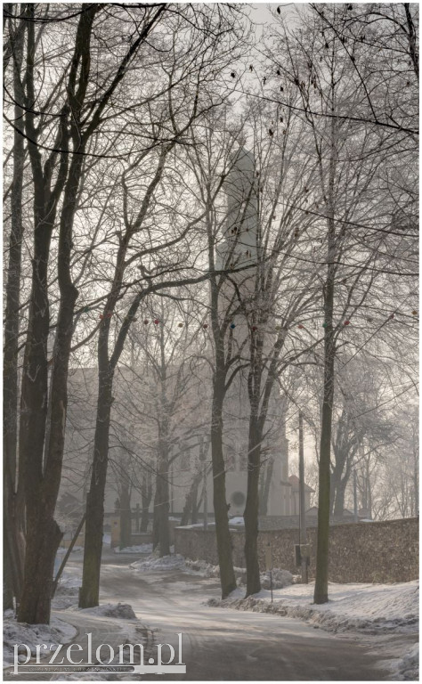 Szadź w PRZEŁOMowych Kadrach – zimowa galeria