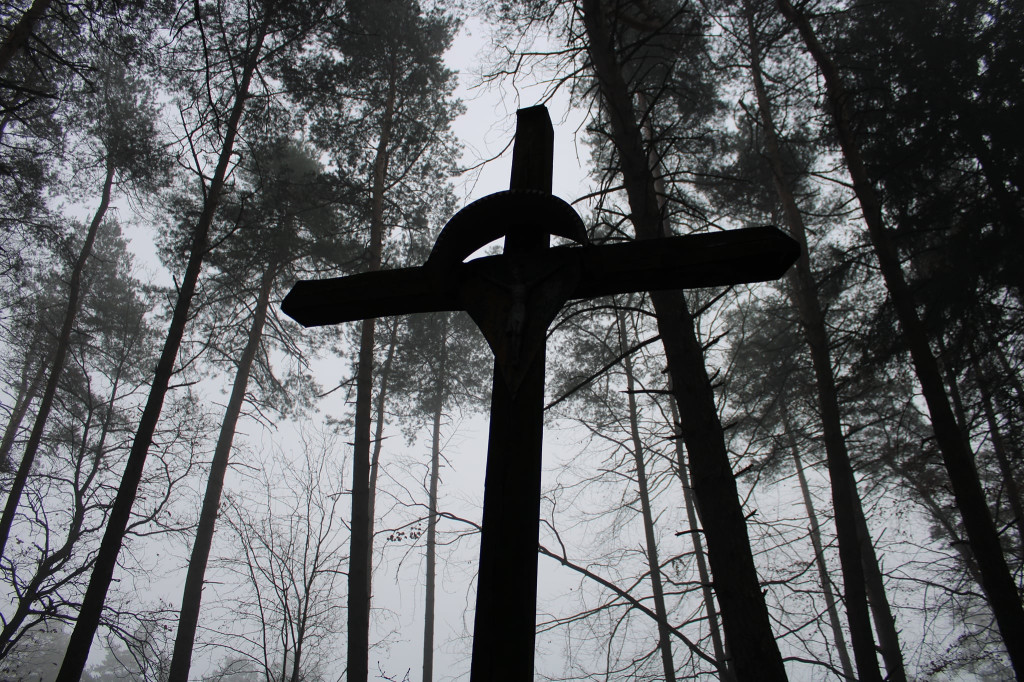 Las w PRZEŁOMowych Kadrach