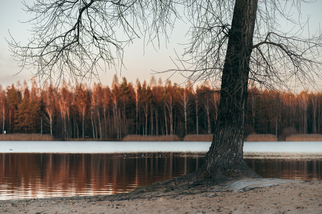 Sosina w PRZEŁOMowych Kadrach