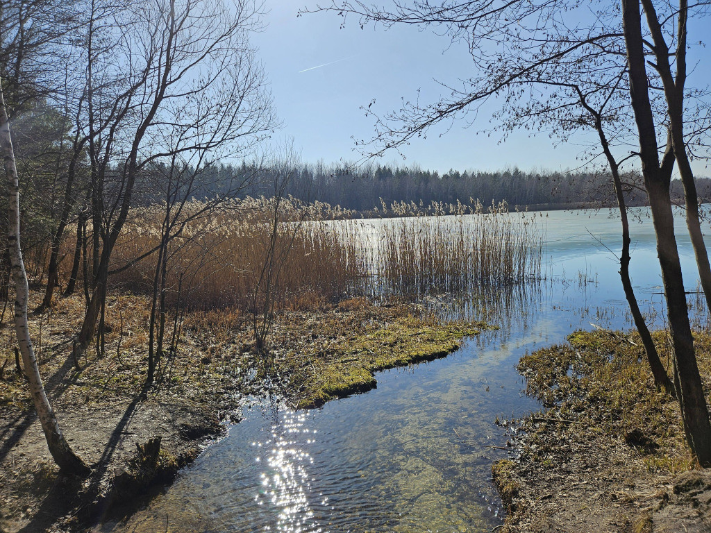 Sosina w PRZEŁOMowych Kadrach