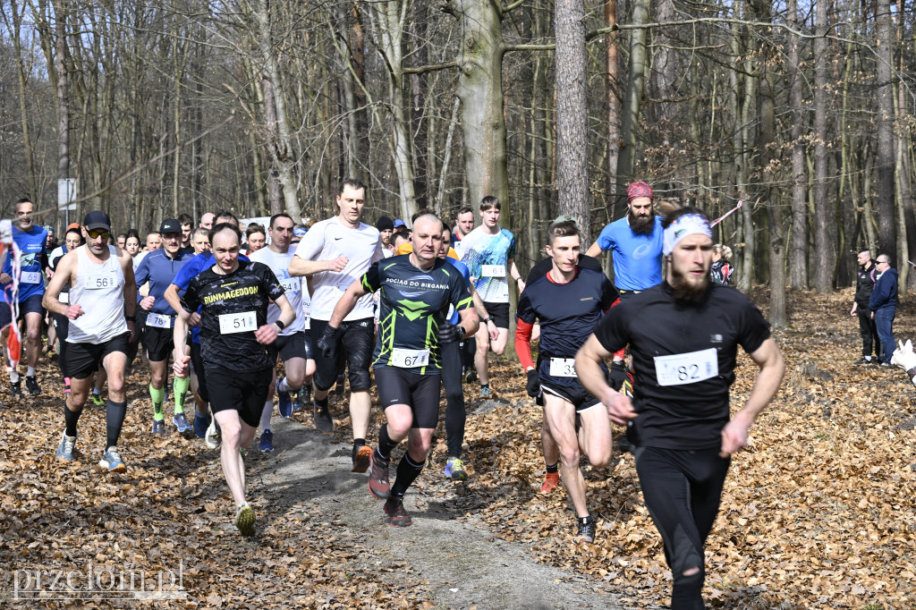 Finał Biegu Nawoja w Nawojowej Górze - 08.03.2026