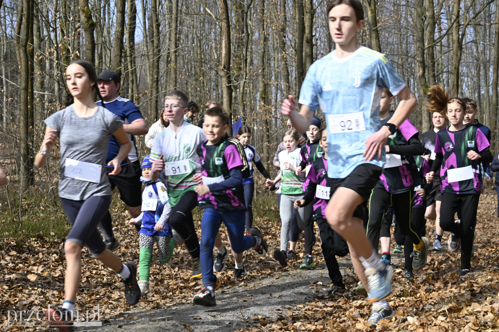 Finał Biegu Nawoja w Nawojowej Górze - 08.03.2026