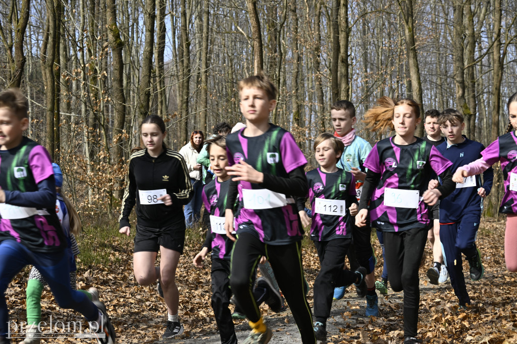 Finał Biegu Nawoja w Nawojowej Górze - 08.03.2026