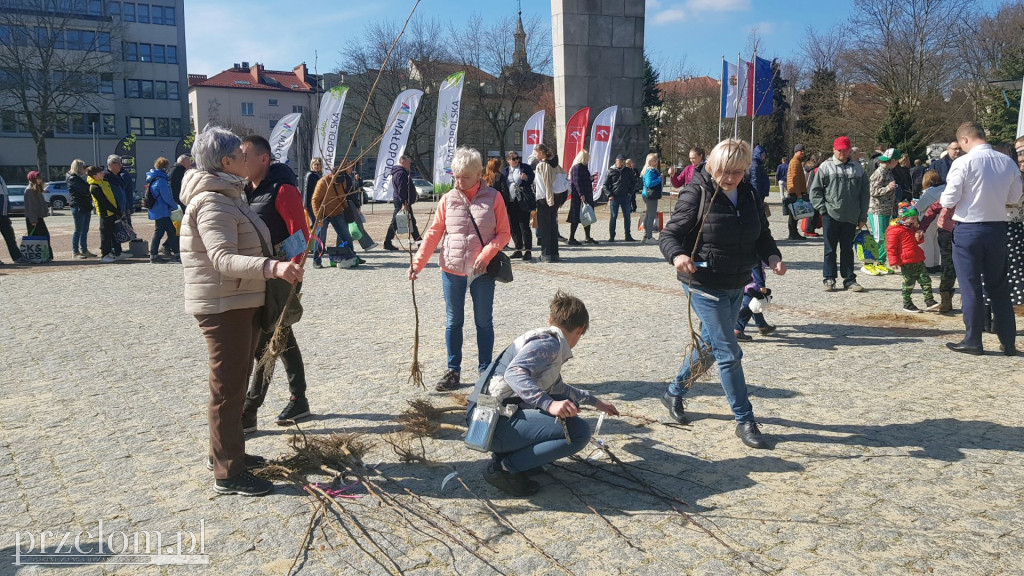 Ekologiczna akcja \
