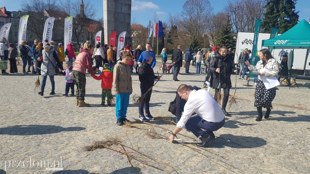 Ekologiczna akcja \