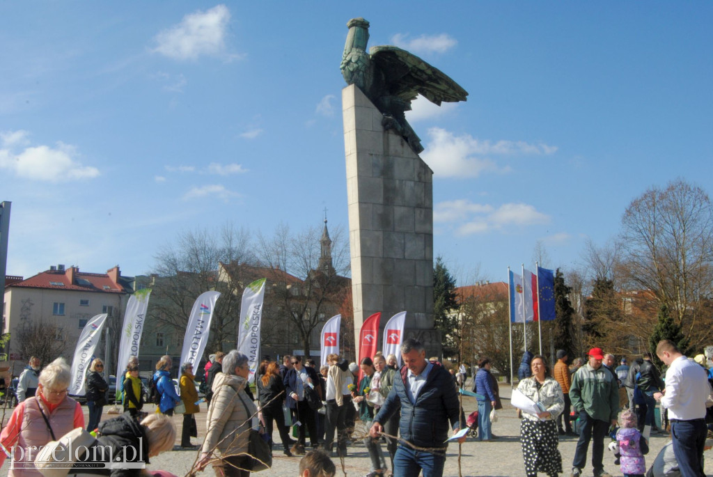 Ekologiczna akcja \