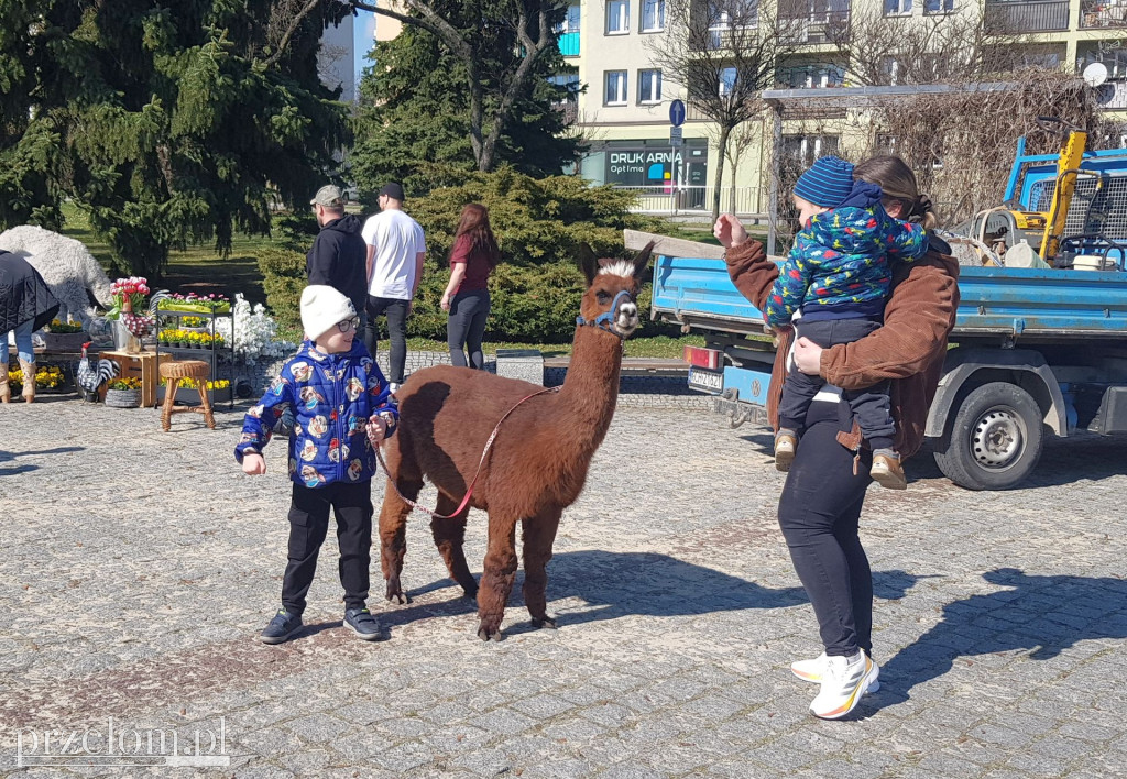 Ekologiczna akcja \
