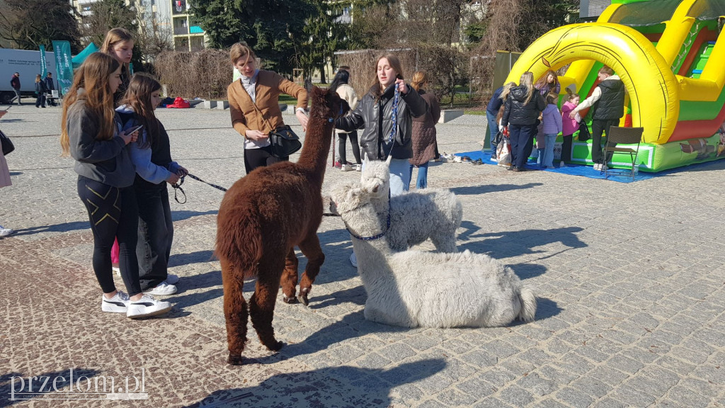 Ekologiczna akcja \