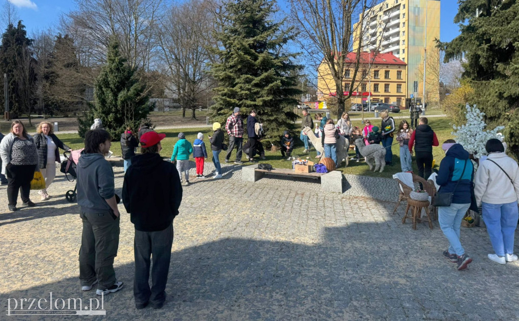 Ekologiczna akcja \