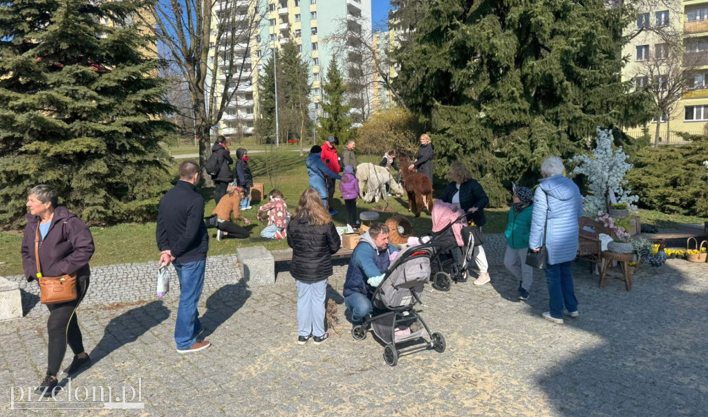 Ekologiczna akcja \
