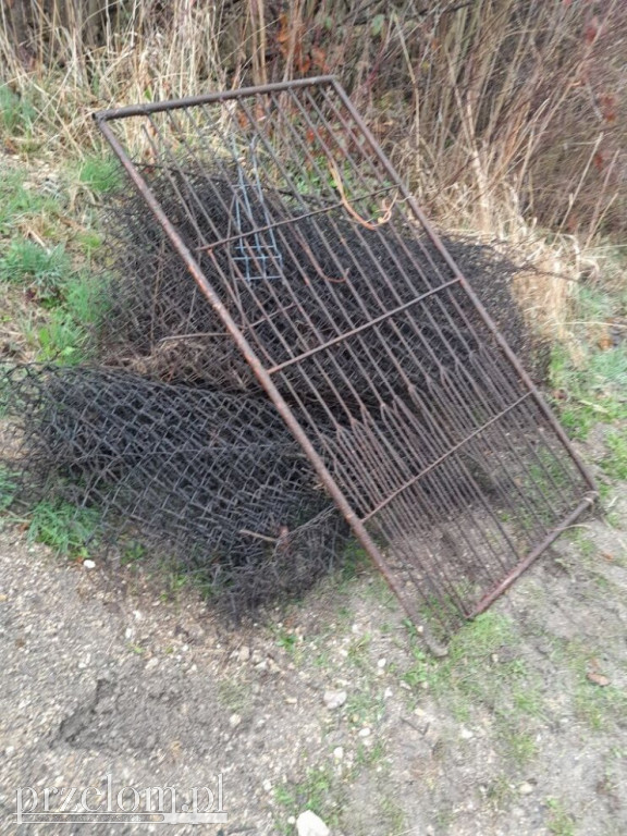 harcerska zbiórka metali