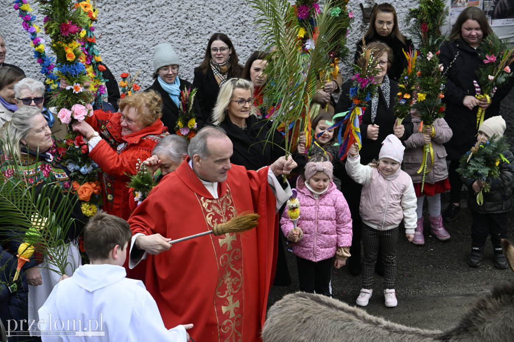 Niedziela Palmowa w Myślachowicach - 29.03.2026
