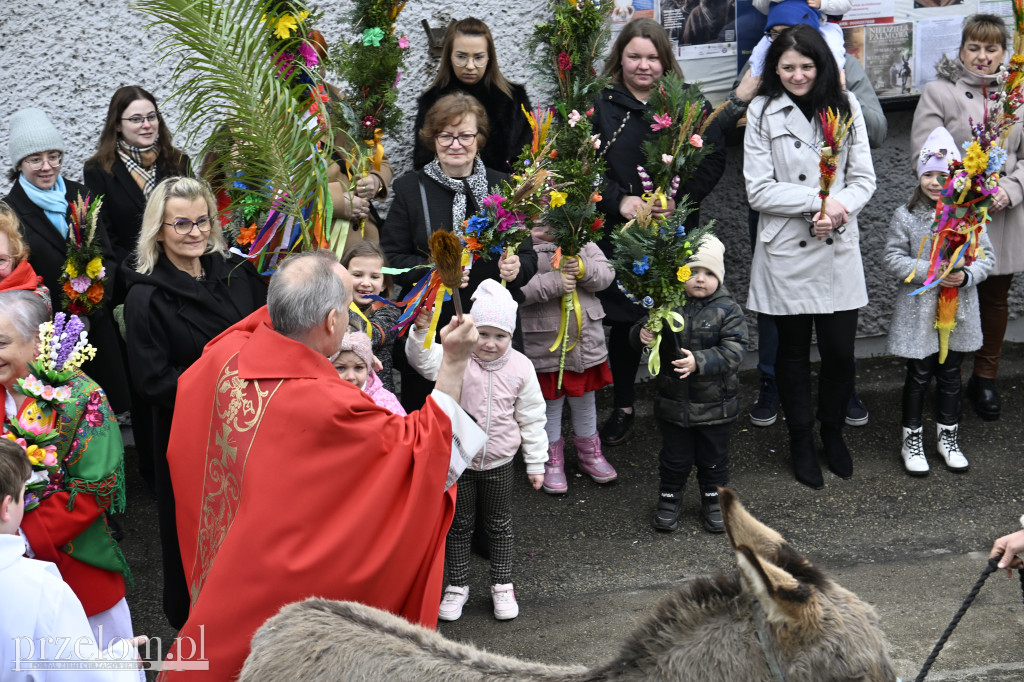 Niedziela Palmowa w Myślachowicach - 29.03.2026