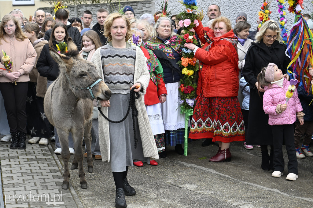 Niedziela Palmowa w Myślachowicach - 29.03.2026