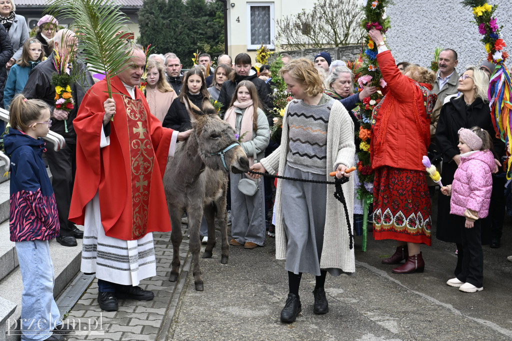 Niedziela Palmowa w Myślachowicach - 29.03.2026