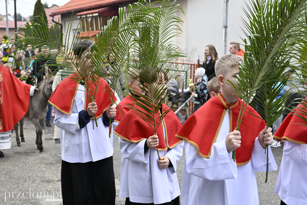 Niedziela Palmowa w Myślachowicach - 29.03.2026