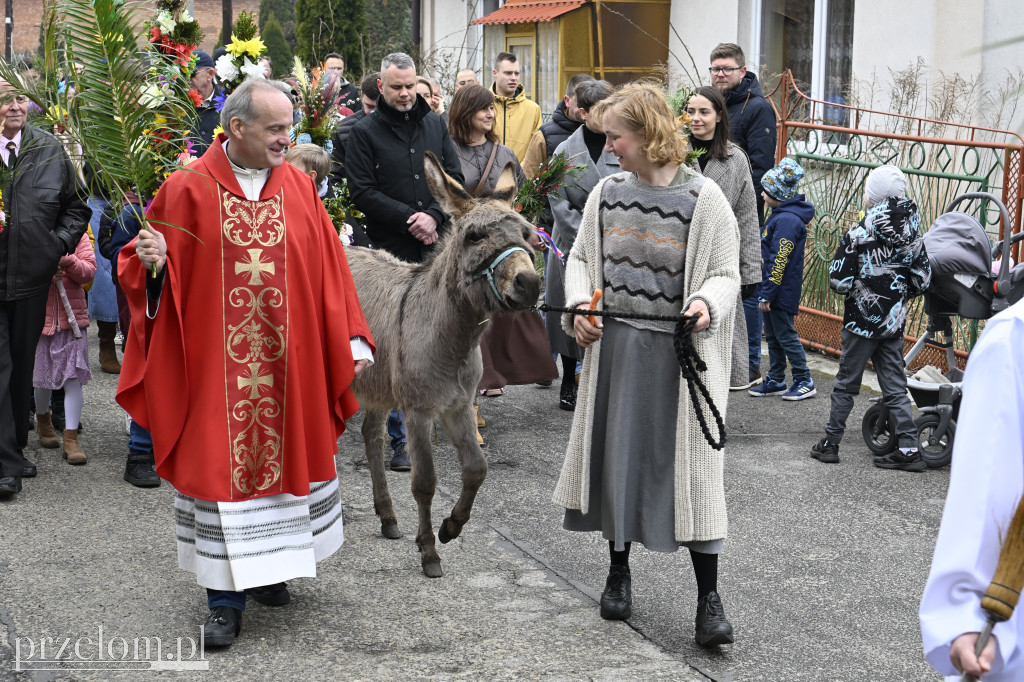 Niedziela Palmowa w Myślachowicach - 29.03.2026