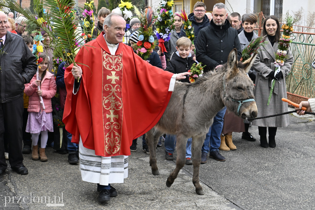 Niedziela Palmowa w Myślachowicach - 29.03.2026