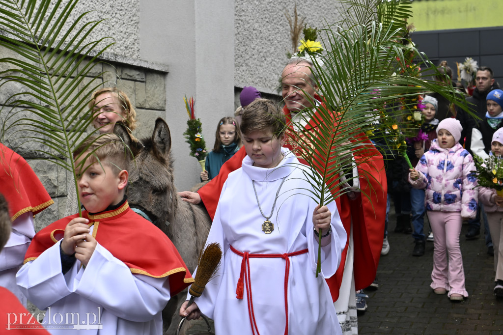 Niedziela Palmowa w Myślachowicach - 29.03.2026