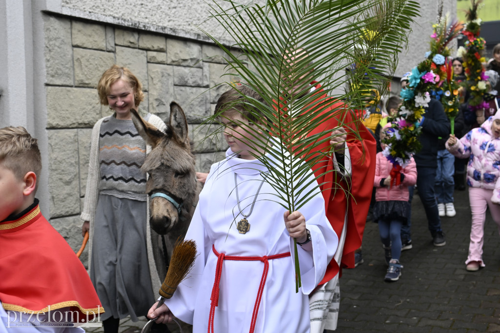 Niedziela Palmowa w Myślachowicach - 29.03.2026
