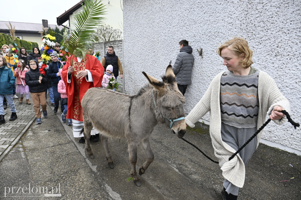 Niedziela Palmowa w Myślachowicach - 29.03.2026