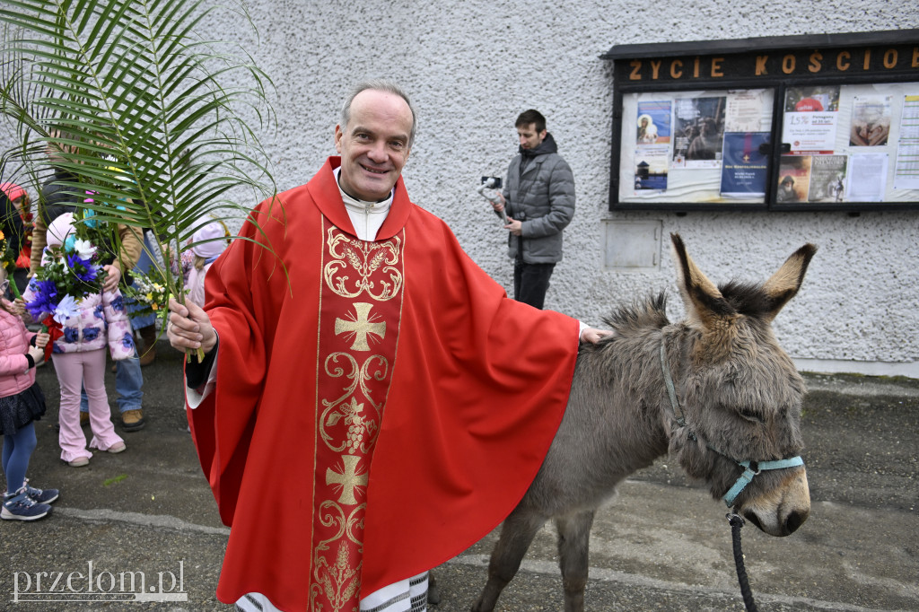 Niedziela Palmowa w Myślachowicach - 29.03.2026