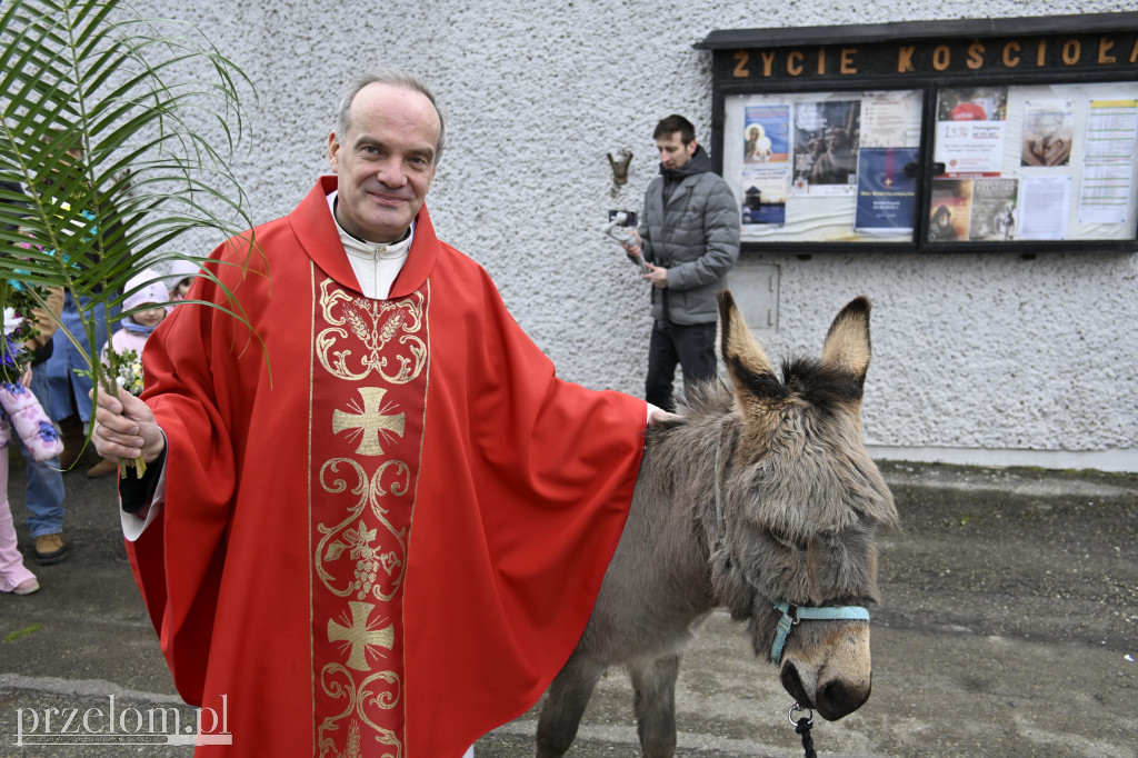Niedziela Palmowa w Myślachowicach - 29.03.2026