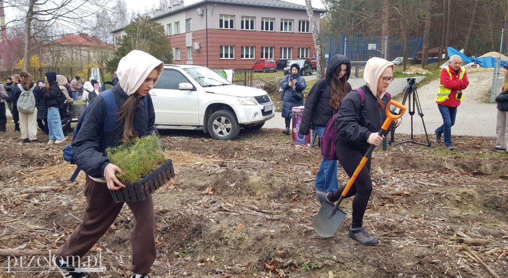 Sadzenie drzew z PTT w Chrzanowie-Stelli