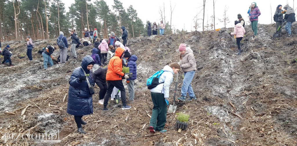 Sadzenie drzew z PTT w Chrzanowie-Stelli