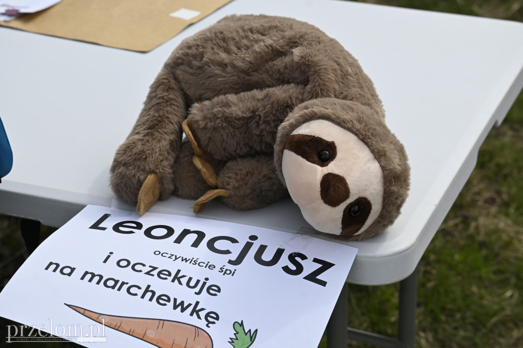 Krzeszowicki Orientering w Nowej Górze - 12.04.2026