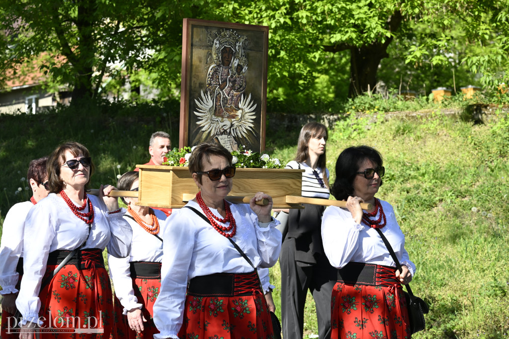 80. rocznica męczeńskiej śmierci bł. ks. Michała Rapacza w Płokach - 10.05.2026