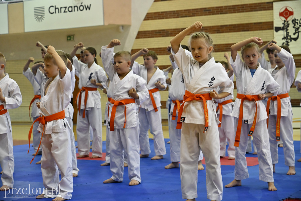 Turniej Karateków w Chrzanowie - 30.05.2026