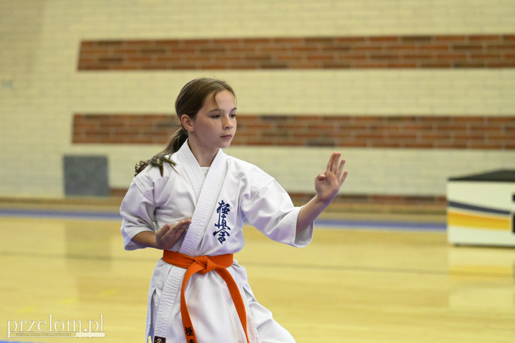 Turniej Karateków w Chrzanowie - 30.05.2026