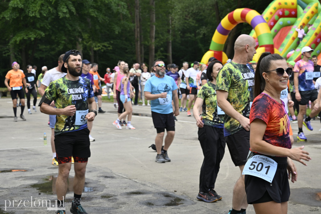 Bukowica Run 2026 - 31.05.2026