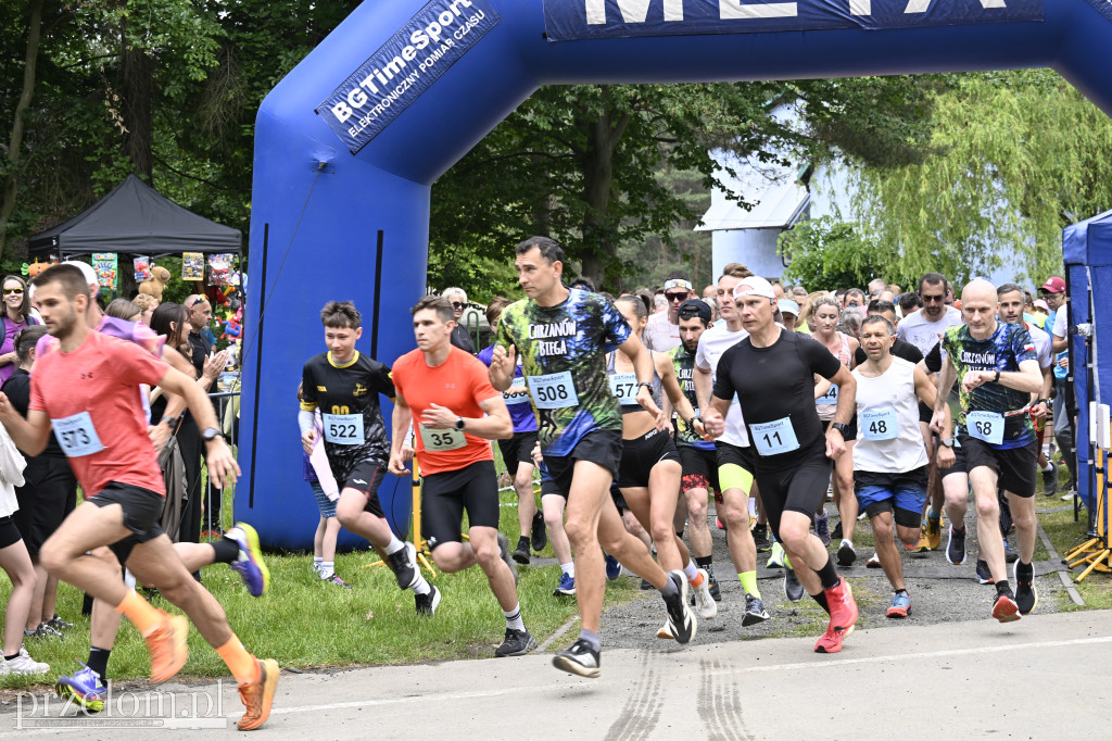 Bukowica Run 2026 - 31.05.2026