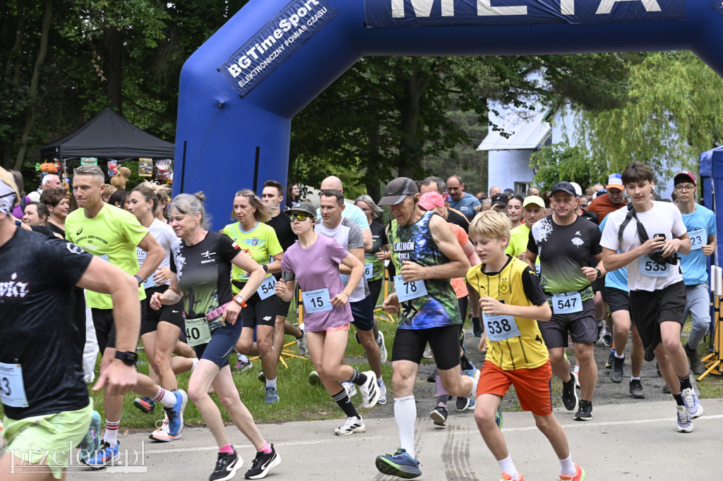 Bukowica Run 2026 - 31.05.2026