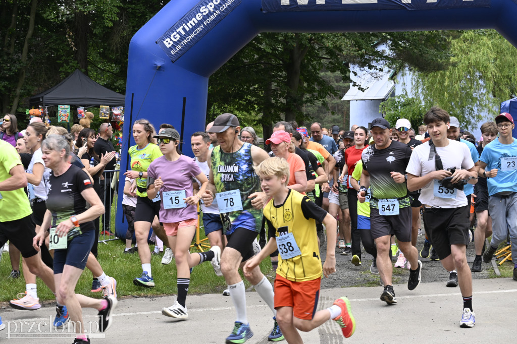 Bukowica Run 2026 - 31.05.2026