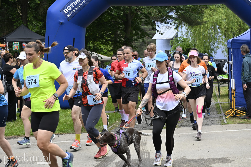 Bukowica Run 2026 - 31.05.2026