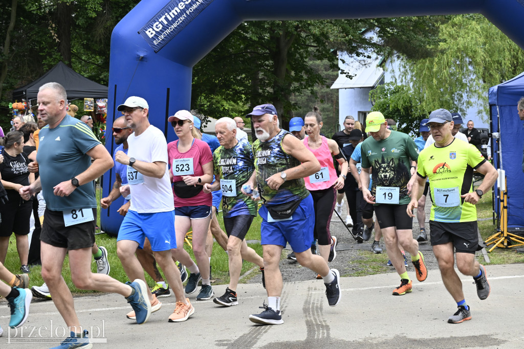 Bukowica Run 2026 - 31.05.2026