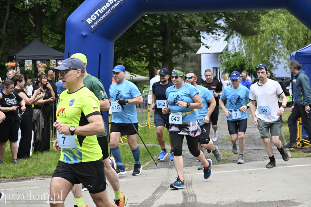 Bukowica Run 2026 - 31.05.2026