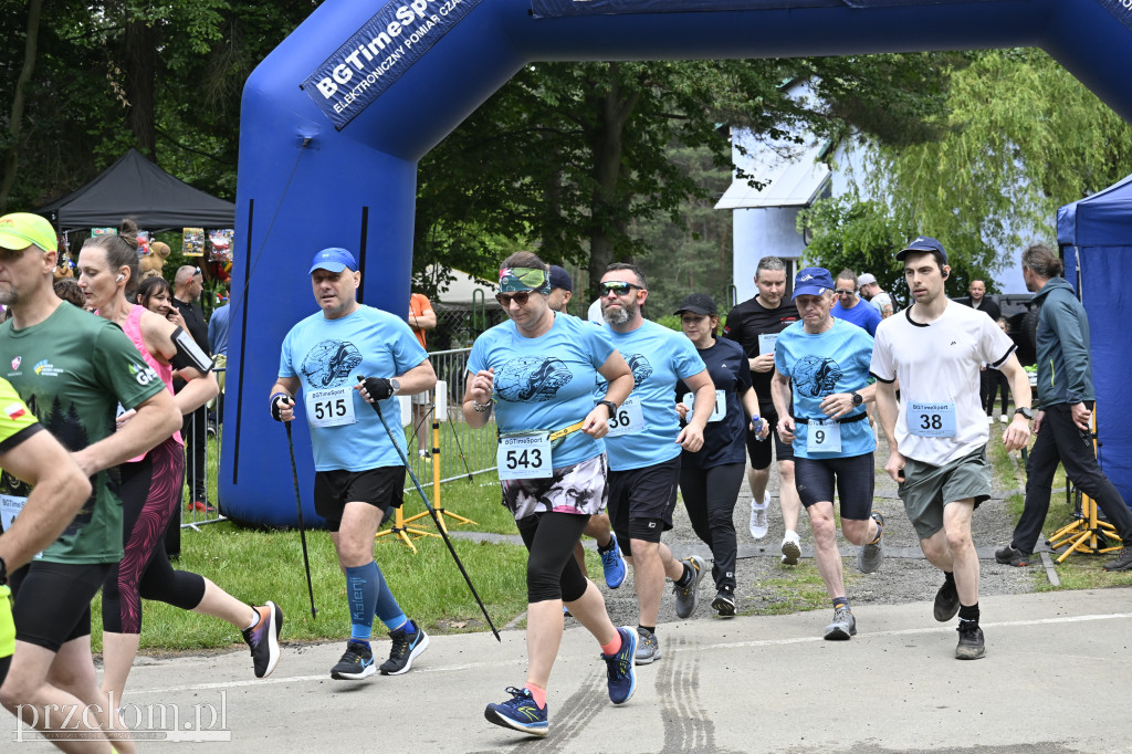 Bukowica Run 2026 - 31.05.2026