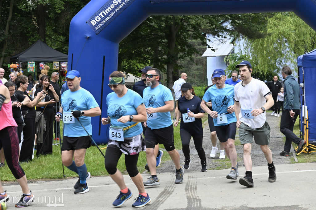 Bukowica Run 2026 - 31.05.2026